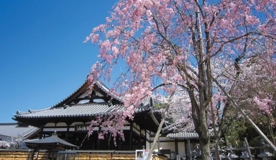 安倍文殊院