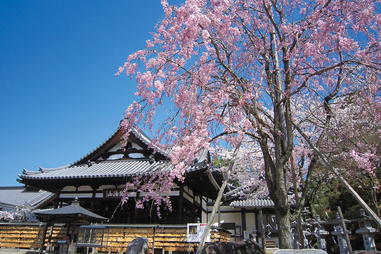 Abe Monju-in Temple| Grand Mercure Nara Kashihara [Official]