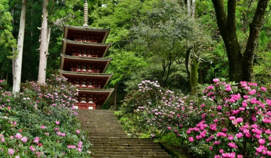 女人高野 室生寺