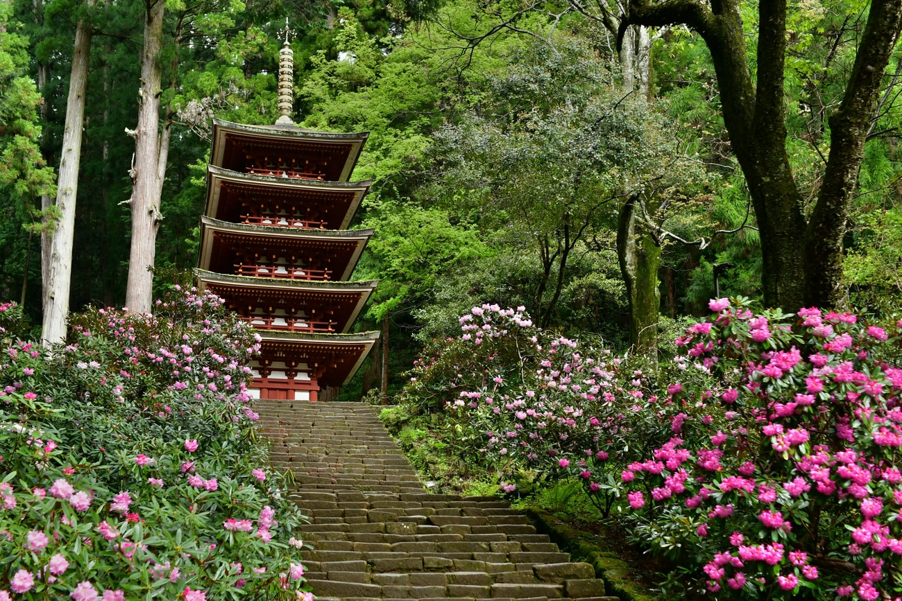 女人高野室生寺 しっかり解説】救済の女人高野、室生寺 – ならpress