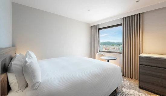 客房形象|奈良橿原美爵酒店【官方】