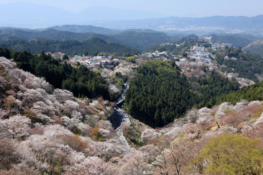 Private Sightseeing Taxi Yoshinoyama Course over Mitake Yamadera, Yoshinojingu and Yoshimizu Shrine