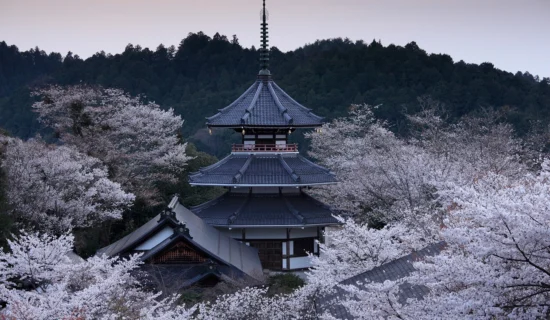 金峯山寺