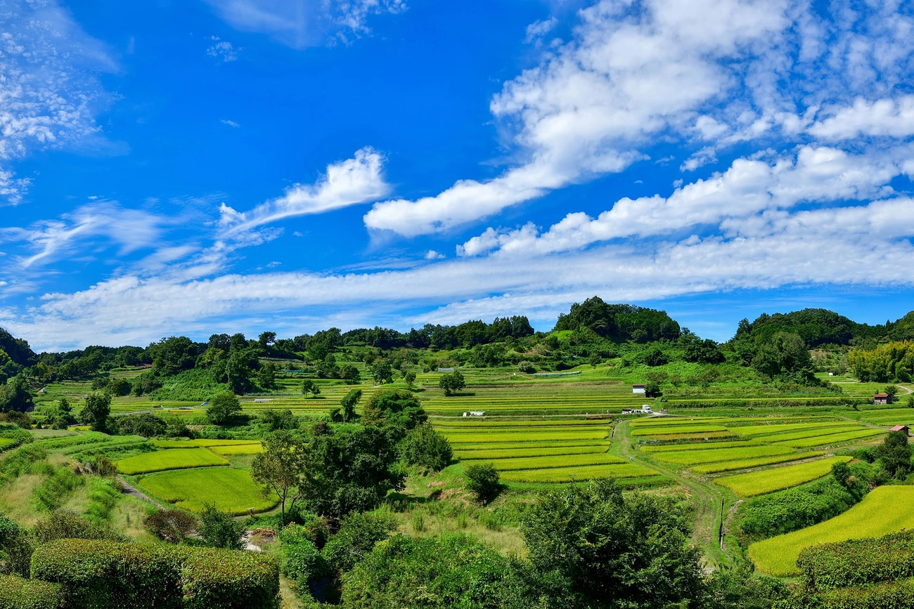 明日香村｜グランドメルキュール奈良橿原【公式】