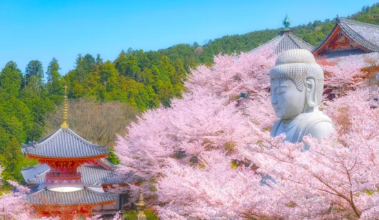 壷阪寺