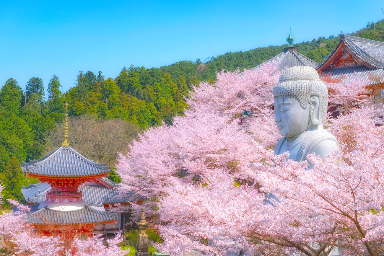 Tsubosaka-ji Temple| Grand Mercure Nara Kashihara [Official]