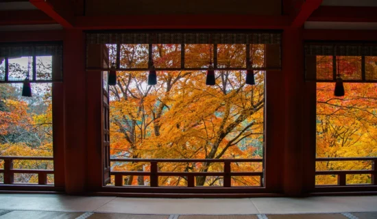 フォトギャラリーイメージ | グランドメルキュール沖縄残波岬リゾート