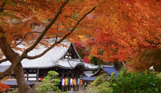 フォトギャラリーイメージ | グランドメルキュール沖縄残波岬リゾート