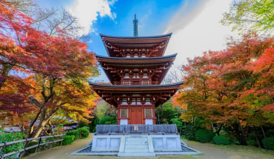 フォトギャラリーイメージ | グランドメルキュール沖縄残波岬リゾート