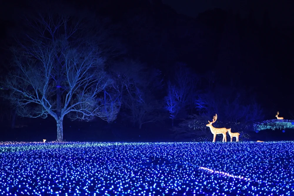 しあわせ回廊 なら瑠璃絵｜グランドメルキュール奈良橿原【公式】