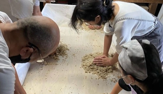 아침의 가시하라 진구 산포